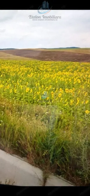 Teren 8500mp+8500 mp, deschidere 32 m+32 m, Negresti, Jud. Neamt - imagine 5