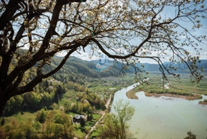 LOTURI- Teren Batca Doamnei – la lebede, 5250 mp, Neamt - imagine 3