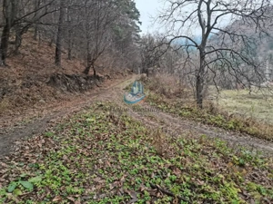 Teren Straja – Pangarati 3560 m, zona de Pensiune - imagine 6