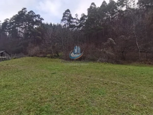 Teren Straja – Pangarati 3560 m, zona de Pensiune - imagine 4