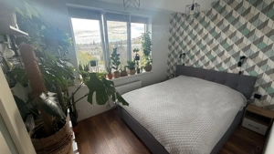 Apartament 2 camere de inchiriat in Sebastian - imagine 5