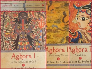 Oferta de exceptie - 9 volume + 12 DVD