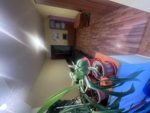 Inchiriez apartament modern si economic cu 2 camere zona Bd. 1 Decembrie Auchan Titan