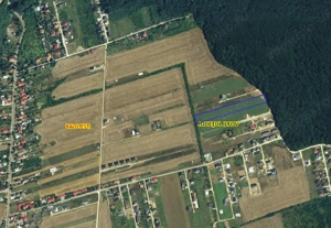 Balotesti- Dumbraveni- Padure - imagine 2