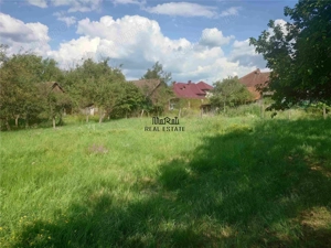 Casa P+M cu teren generos si loturi suplimentare in Baia de Cris - imagine 19