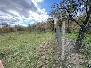 Teren intravilan Vrancea