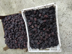 prune uscate de vanzare 