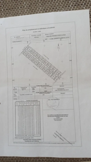 Teren de vanzare in Domesti-Teghes, langa A0 - imagine 5