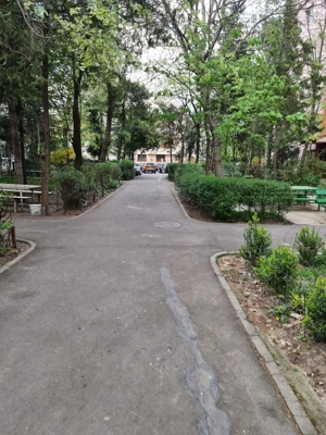 Apartament Sagului ( piața Doina)  - imagine 4