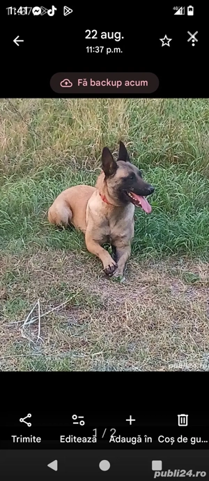 100euro mascul - imagine 4 100euro mascul - imagine 4