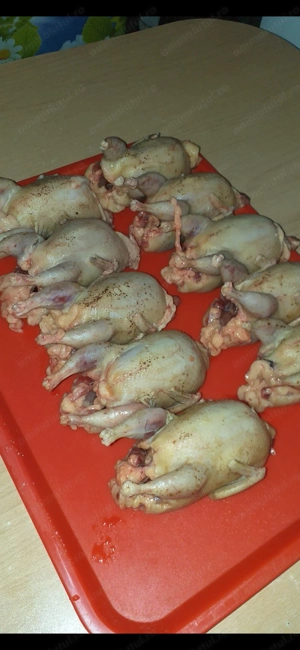 Vând prepelite schimb cu păsări de colivie  - imagine 2