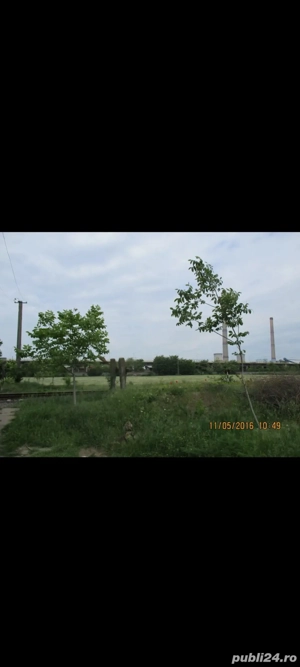 Vand teren agricol in suprafata de 5900 mp, zona Calea Sagului - imagine 2