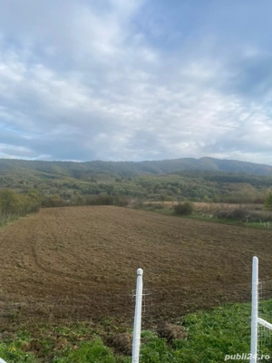 Surduc de vanzare langa lacul Surduc curte și grădină cu fantana, documente de proprietate la zi - imagine 2