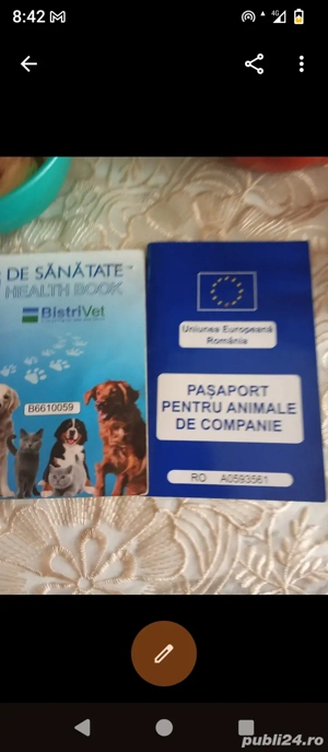 100euro mascul - imagine 5 100euro mascul - imagine 5