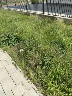 Zona Torontalului, BLOC NOU, apartament 2 camere, etaj 2, 53 mp utili, preț 95000 euro - imagine 12