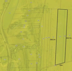 Teren agricol extravilan 2 ha in comuna Saschiz Mures - imagine 4