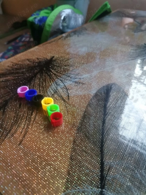 Inele papagali găini etc - imagine 2