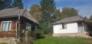 Casă si teren 1.6 ha de vânzare, în Rona de Jos