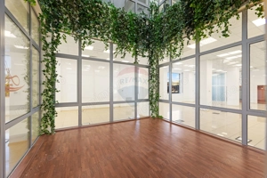 Spațiu de birouri de 830mp de închiriat în zona Sud-Vest - imagine 8