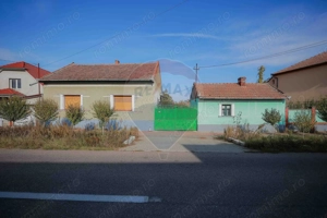 De vânzare casă cu teren de 3036 mp în Borș - imagine 2