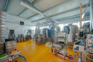 Hală industrială, Parcul Industrial Borș II, De Vânzare - imagine 11