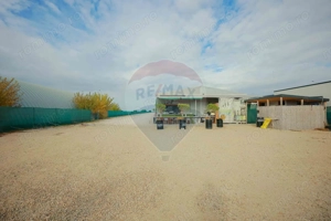 Hală industrială, Parcul Industrial Borș II, De Vânzare - imagine 9