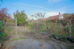 De vânzare casă cu teren de 3036 mp în Borș - imagine 14