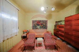 De vânzare casă cu teren de 3036 mp în Borș - imagine 4