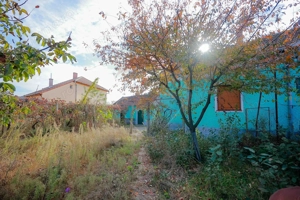 De vânzare casă cu teren de 3036 mp în Borș - imagine 13