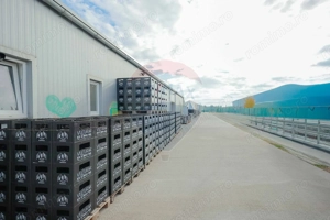 Hală industrială, Parcul Industrial Borș II, De Vânzare - imagine 7