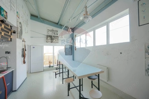 Hală industrială, Parcul Industrial Borș II, De Vânzare - imagine 13