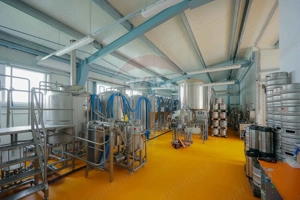 Hală industrială, Parcul Industrial Borș II, De Vânzare - imagine 10