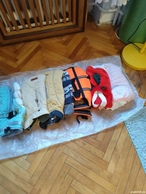 Vând hăinuțe de căței talie mica. - imagine 5 Vând hăinuțe de căței talie mica. - imagine 5