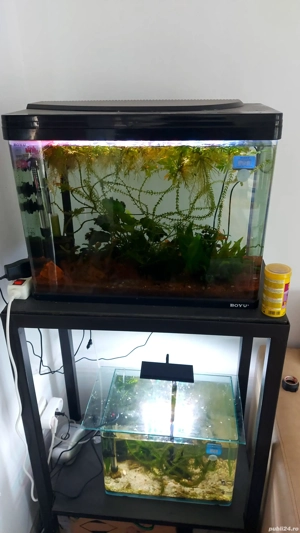 Stand cu două acvarii - imagine 2 Stand cu două acvarii - imagine 2