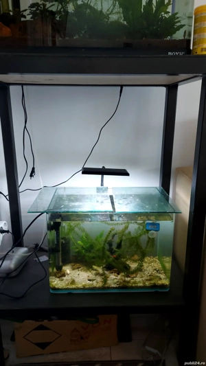 Stand cu două acvarii - imagine 4 Stand cu două acvarii - imagine 4