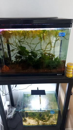 Stand cu două acvarii - imagine 3 Stand cu două acvarii - imagine 3