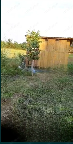 Teren intravilan in sat Obad