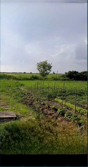 Teren intravilan in sat Obad - imagine 4