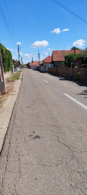 Casă de vânzare, sat Arpasel,10 km de orașul Salonta.Batar Bihor. - imagine 6