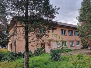 Resita CHIRIE Central, 785 mp. Parter, Etaj 1 - imagine 2