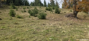 Vand teren parcele in apropierea pârtiei de ski - imagine 3