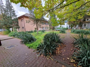 Resita CHIRIE Central, 785 mp. Parter, Etaj 1 - imagine 3