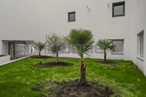 62.1 mp / METROU PRECIZIEI / finisat complet / SE ACCEPTA CREDIT / Comision 0% - imagine 16