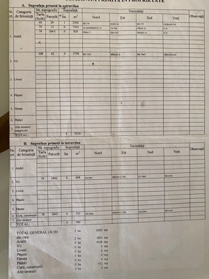 Vand teren agricol Sadova Dolj  - imagine 2 Vand teren agricol Sadova Dolj  - imagine 2