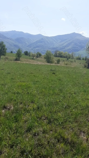 Caut femeie sau familie pt ingrijire batran