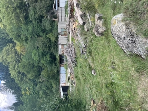 Teren intravilan Voineasa 15 euro mp - imagine 4