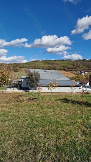 Casă P+teren 600 mp , utilități, Budiu Mic   Mureș - imagine 3