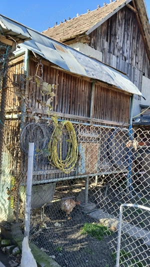 Coser mare de vinzare ,stare buna  