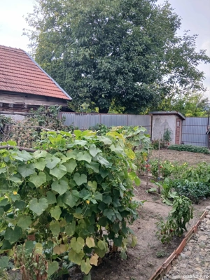 casa de vanzare - imagine 10