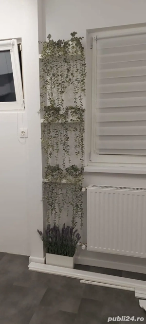 inchiriez garsonira - imagine 5